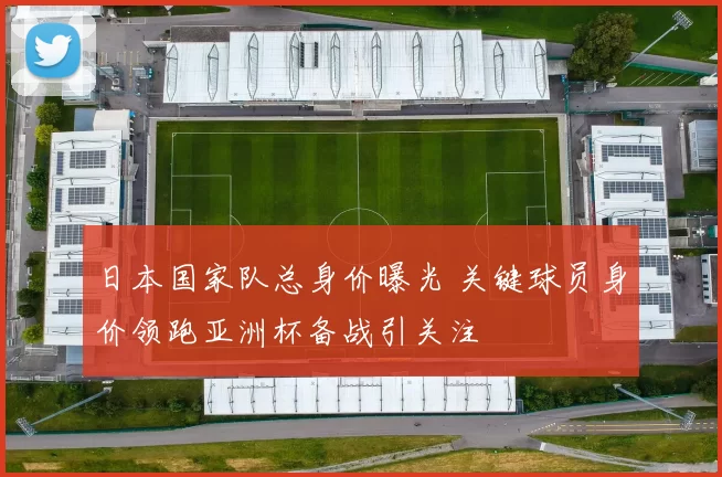 日本国家队总身价曝光 关键球员身价领跑亚洲杯备战引关注