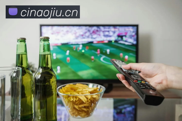 App Interface Preview